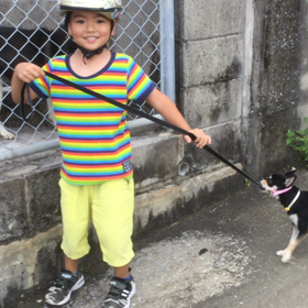 愛犬の画像