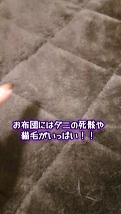 あっという間に…の記事動画
