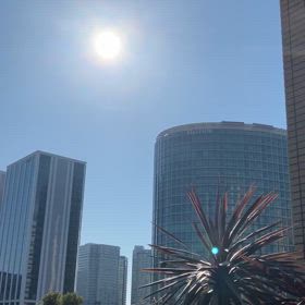朝散歩　横浜駅東口〜の画像