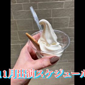 11月出演スケジュールの画像