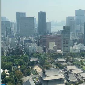 東京タワーから芝公園、増上寺、プリンスホテルの画像