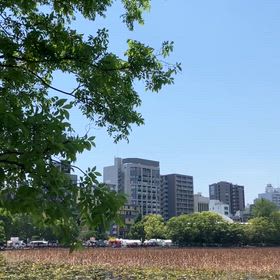 上野不忍池の画像