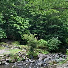 夕日の滝に続く道の画像