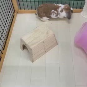 お留守番ありがとうの画像
