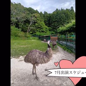 7月出演スケジュールの画像