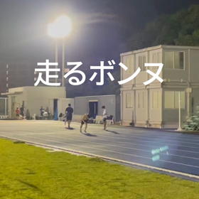 部活動　走る練習の画像