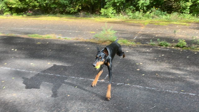 ひとり遊びの記事動画
