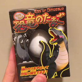 恐竜の卵を孵化させてみた！！………わくわく♡MIOの画像