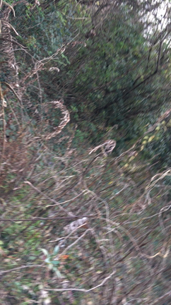 農地散策の記事動画