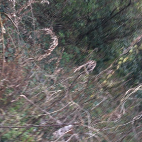 農地散策の画像