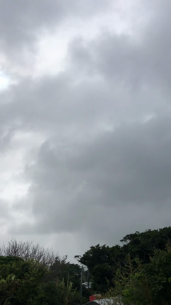 南の島の気候☆移住生活の記事動画