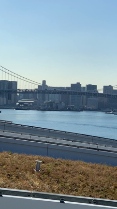 初めての豊洲市場は美味しかった！の記事動画