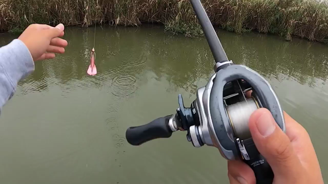 フワフワー♪の記事動画