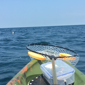 視線を感じる…誰だの画像