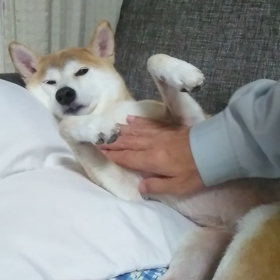 うっとり茶子の画像