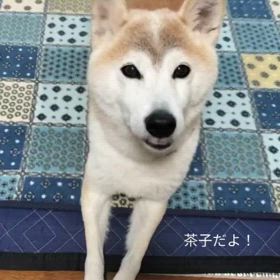 嬉しいの画像