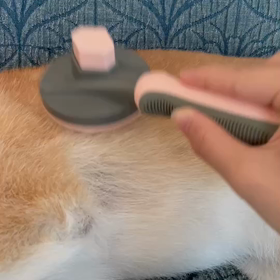 ブラシの画像