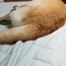 あら、もうこんな時間の画像