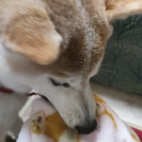 どうした❓の画像