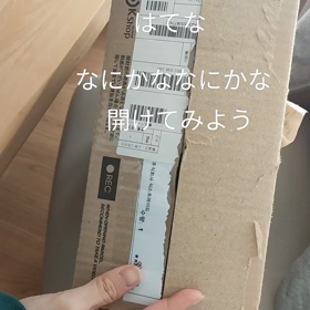 お届け物ですの画像