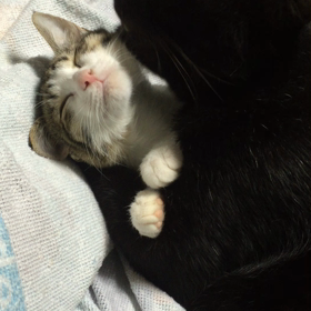 ご心配おかけして…m(._.)mの画像