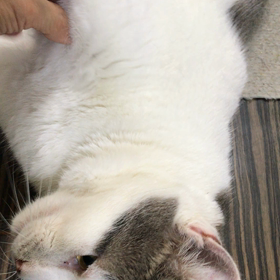 キュンキュン動画二本立てでーす！の画像