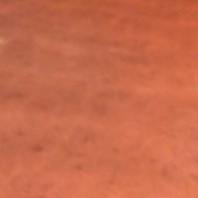動の画像