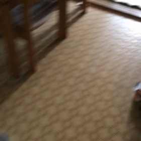 動の画像