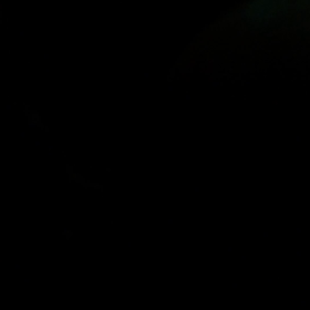 宮の画像