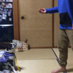 キャッチ成功！の画像