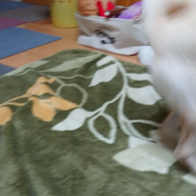 風船遊び2の画像