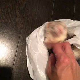 コンビニ袋と プーチョと  PAPAとの画像