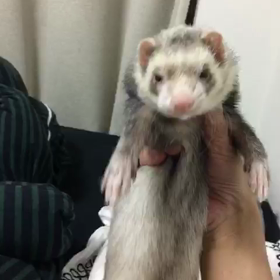 ご無沙汰プーチョ(^o^;)の画像