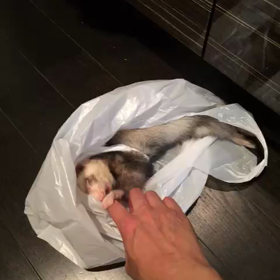 こっちだったΣ(￣皿￣;;の画像