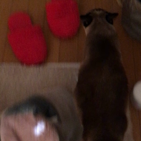 いよいよ仕事。の画像