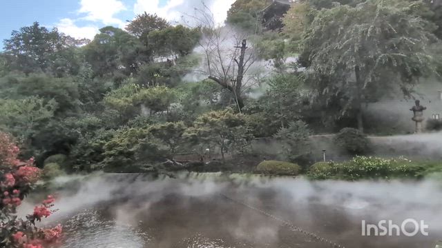 夏休み_東京4_雲海の記事動画