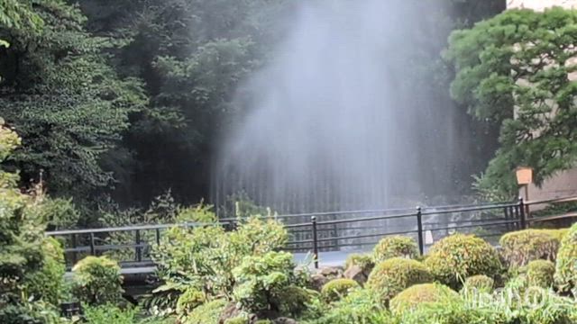 夏休み_東京4_雲海の記事動画