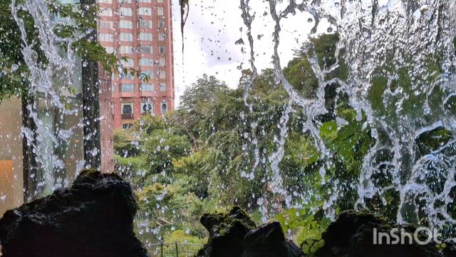 夏休み_東京4_雲海の記事動画