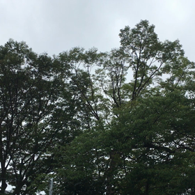 おはようございますの画像