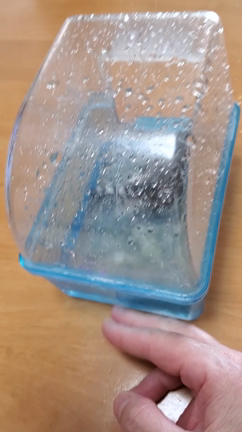 中秋の名月⭐あれから１週間…⭐椿くんの特殊なお風呂の入り方！の記事動画
