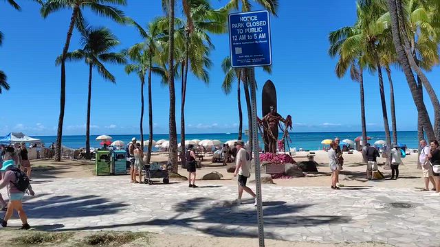ハワイ⑮ day4 ぐるりバス旅 /2026年9月ワイキキアンの記事動画