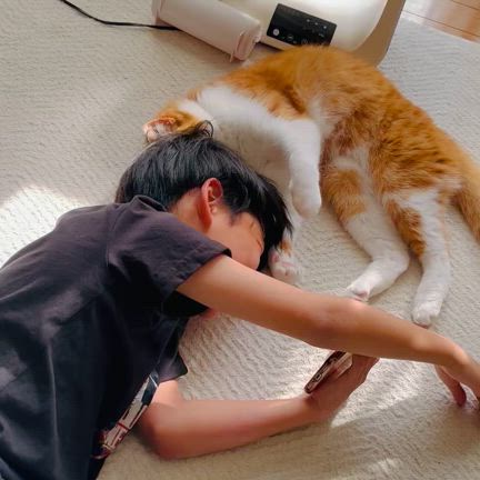 仲良しの記事動画