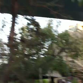 会いたいです〜の画像