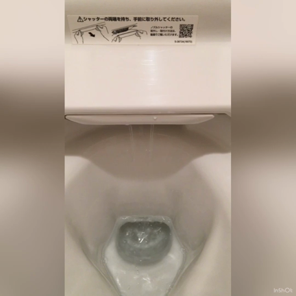 【大掃除の時期】意外に簡単！あっという間のトイレノズルの掃除♪の記事動画