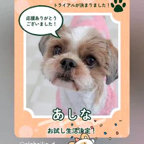 ”青葉警察署”つづきです♡の画像