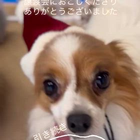 2025/12/21の画像