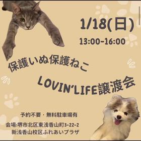 2026/01/17の画像