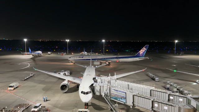 羽田に飛行機を見に　Part１の記事動画