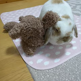 兄たんよりも女子力アップの画像