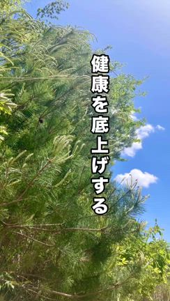 松、やっぱりすごいんですの記事動画